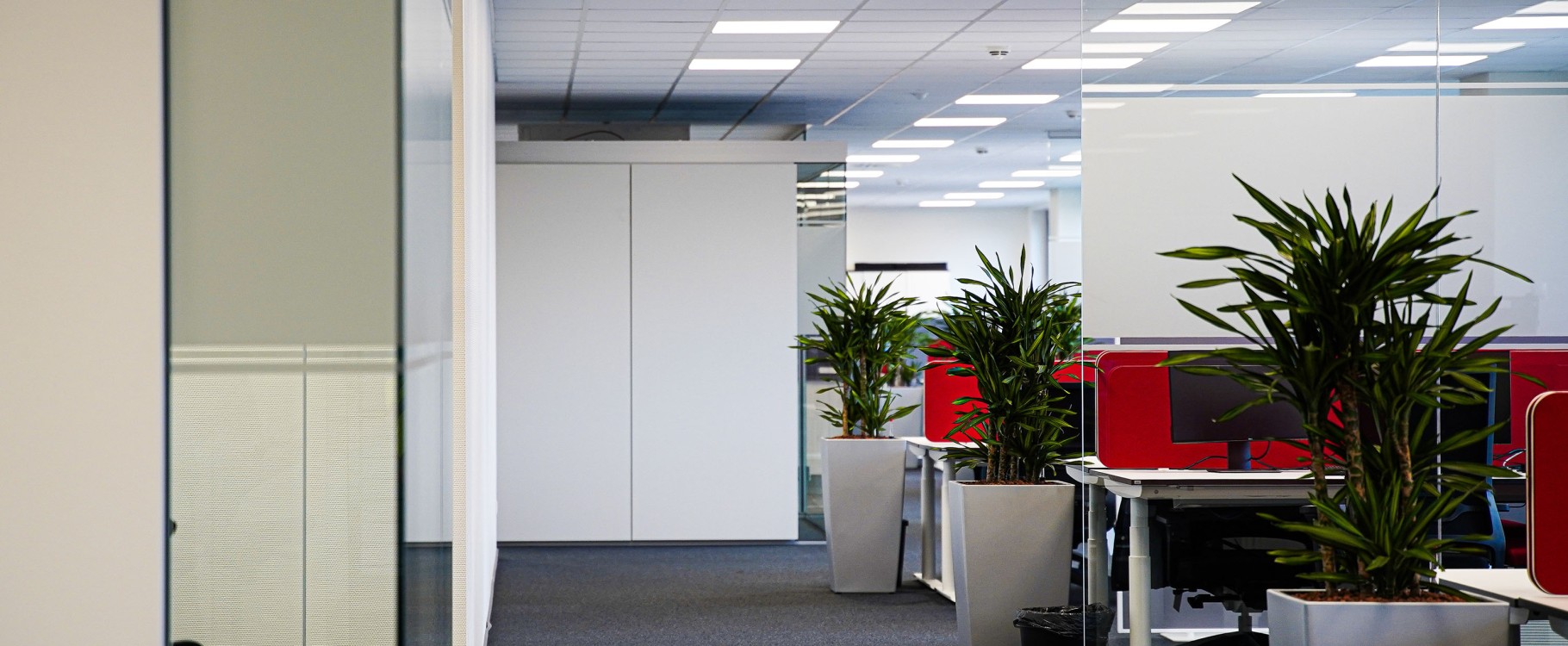 DSC01618